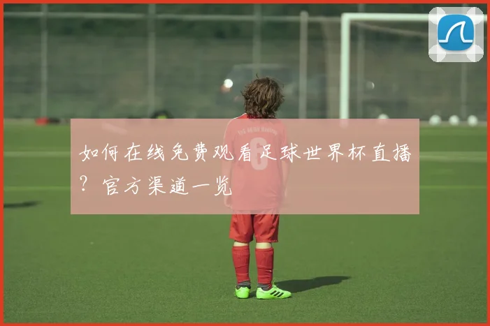 如何在线免费观看足球世界杯直播？官方渠道一览