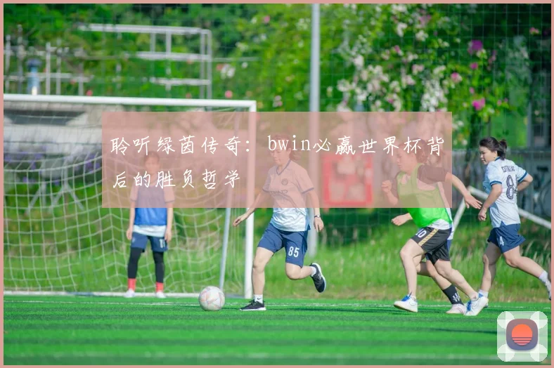 聆听绿茵传奇：bwin必赢世界杯背后的胜负哲学