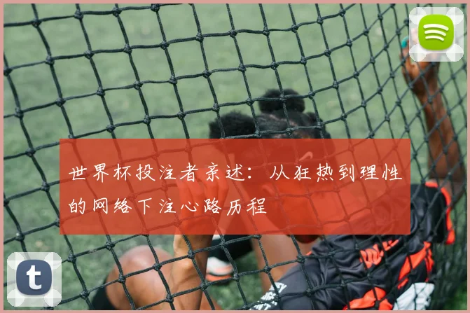世界杯投注者亲述：从狂热到理性的网络下注心路历程