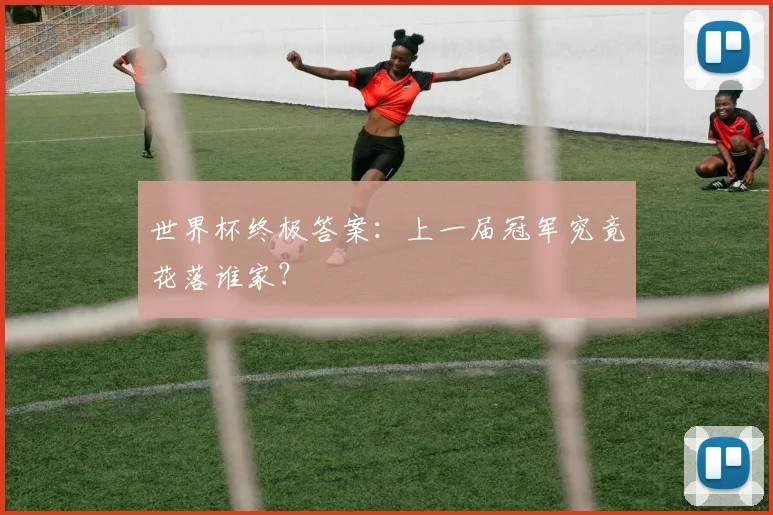 世界杯终极答案：上一届冠军究竟花落谁家？