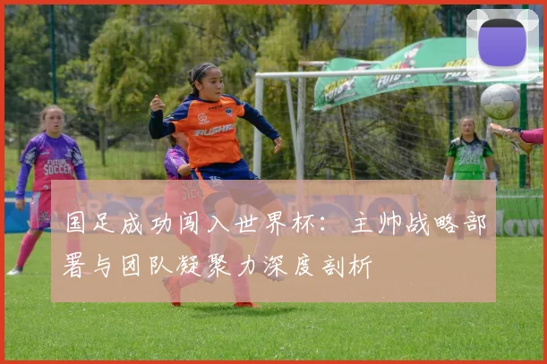 国足成功闯入世界杯：主帅战略部署与团队凝聚力深度剖析