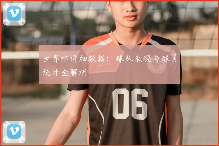 世界杯详细数据:球队表现与球员统计全解析
