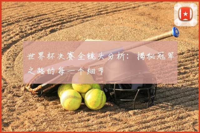世界杯决赛全镜头分析：揭秘冠军之路的每一个细节