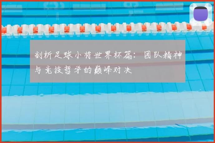 剖析足球小将世界杯篇:团队精神与竞技哲学的巅峰对决