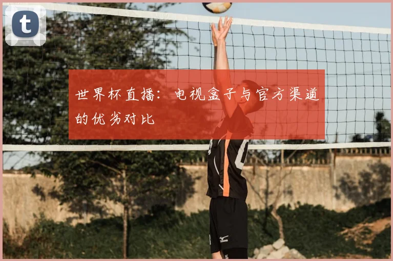 世界杯直播:电视盒子与官方渠道的优劣对比