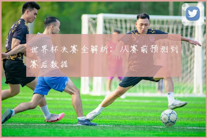 世界杯决赛全解析:从赛前预测到赛后数据