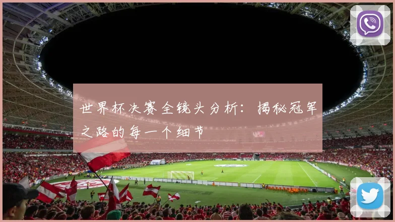 世界杯决赛全镜头分析：揭秘冠军之路的每一个细节