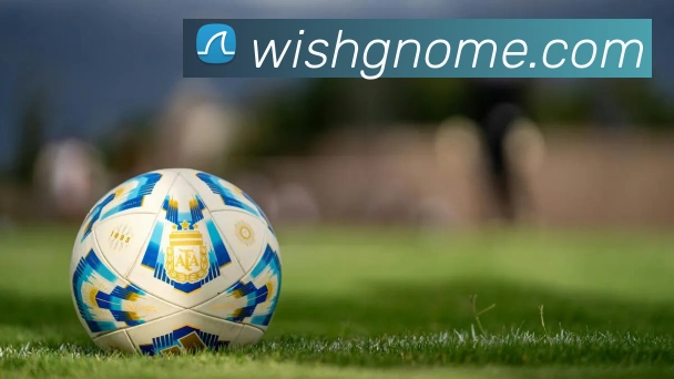 三亿体育APP 封面图